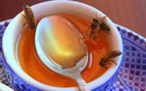 蜂蜜的美容功效及做法大全